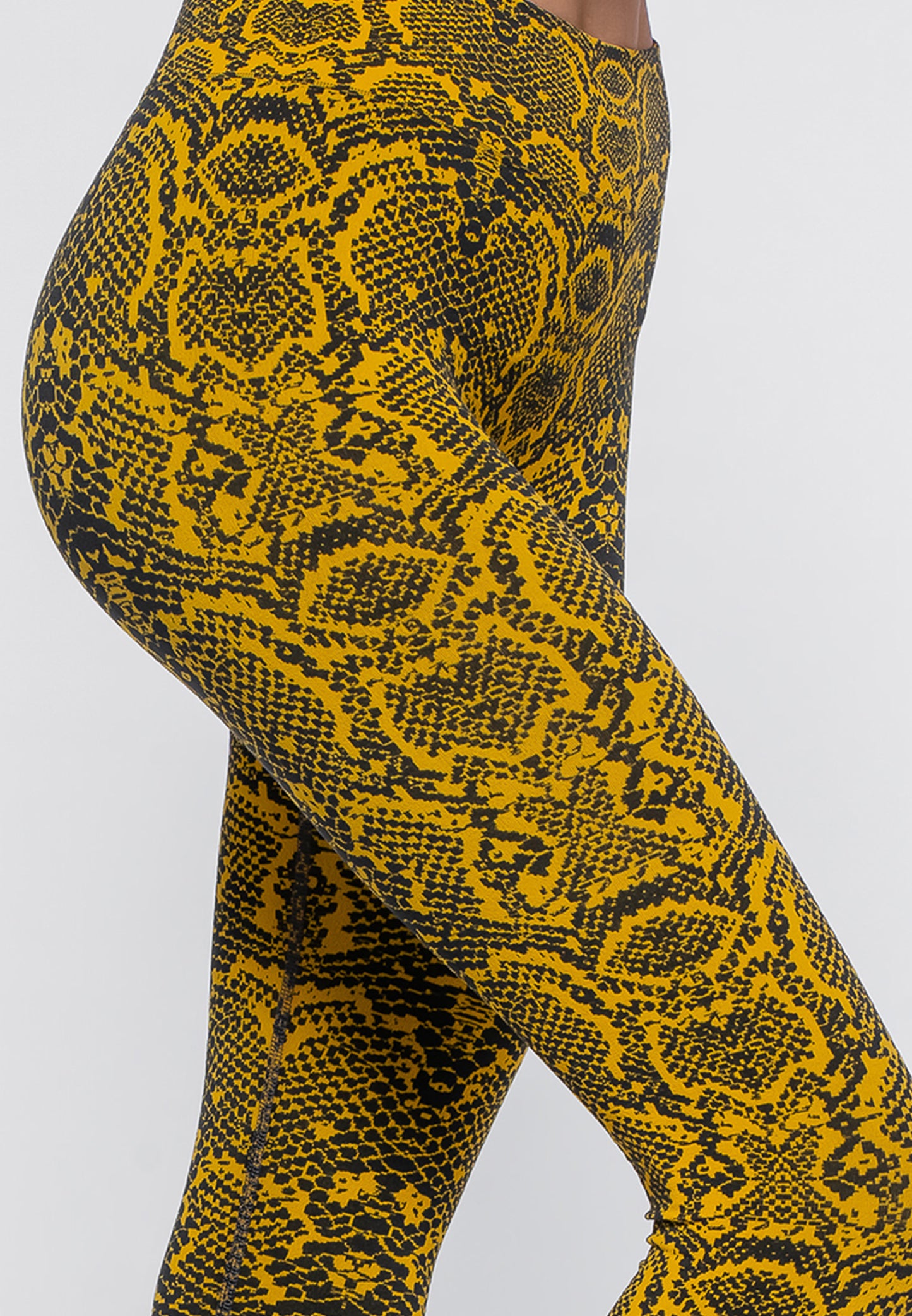 DAKOTA SNAKE LEGGINGS